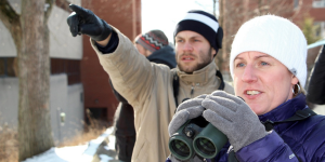 Birding in the City