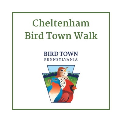 Cheltenham