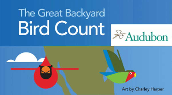 Participate in The 2022 Great Backyard Bird Count