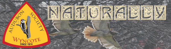Audubon Naturally