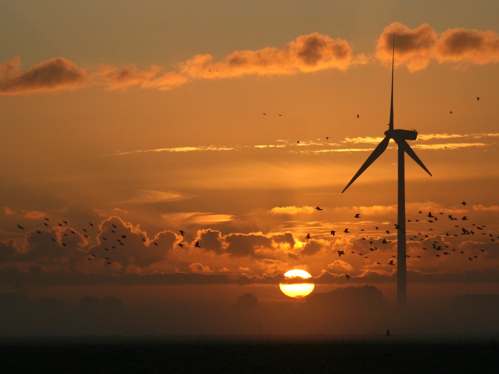 Audubon Supports “30 by 30” Legislation: Modernizing Pennsylvania’s Renewable Energy Standards